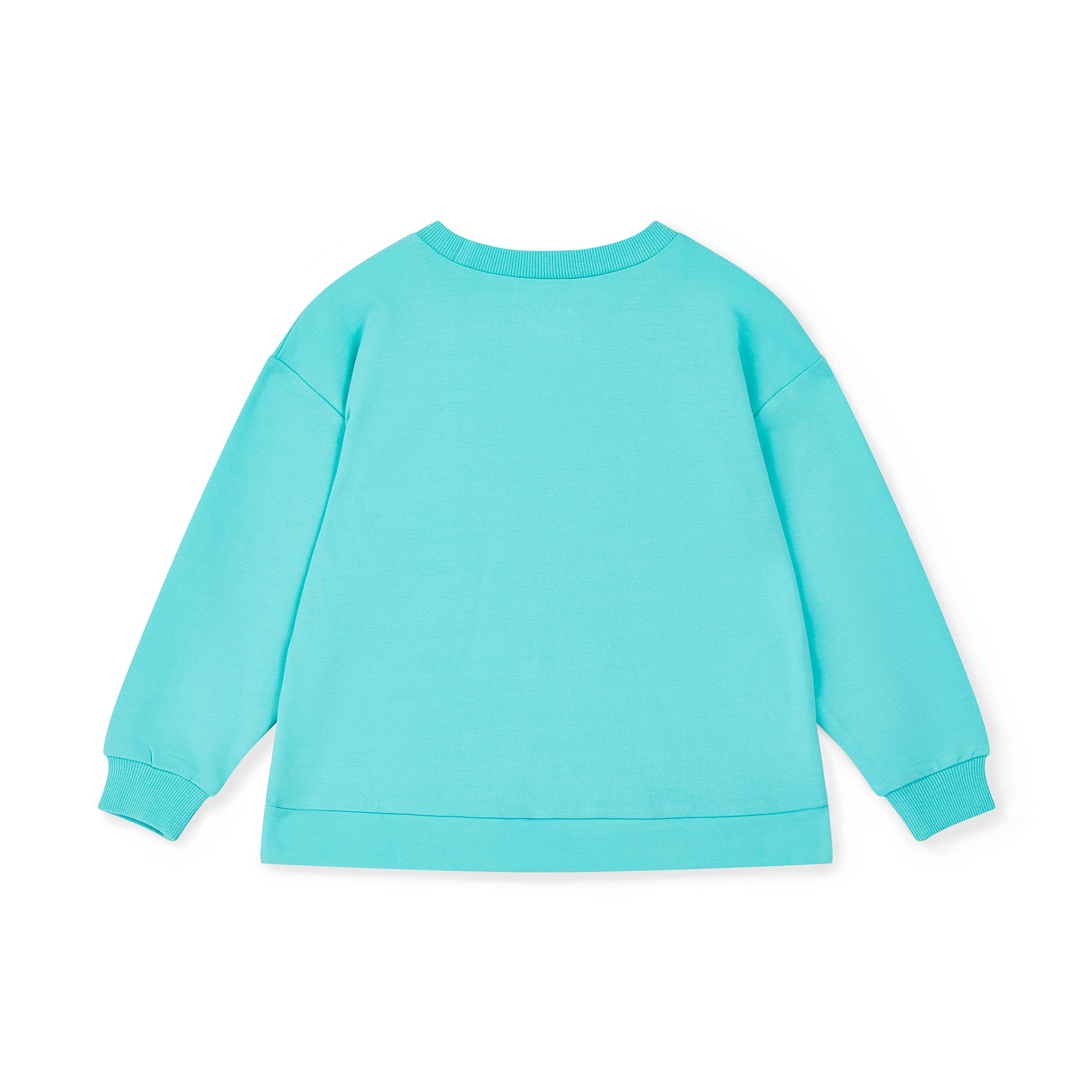 SS25 Bonini ASPIRE Mint & White Logo Sweatshirt