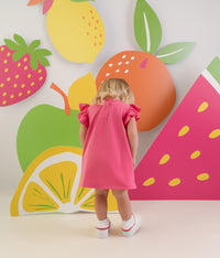 PREORDER SS26 Little A PAISLEY Pink Handbag Dress With Knickers