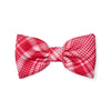 AW25 ADee LEIGHTON Red Check Bow Hair Clip